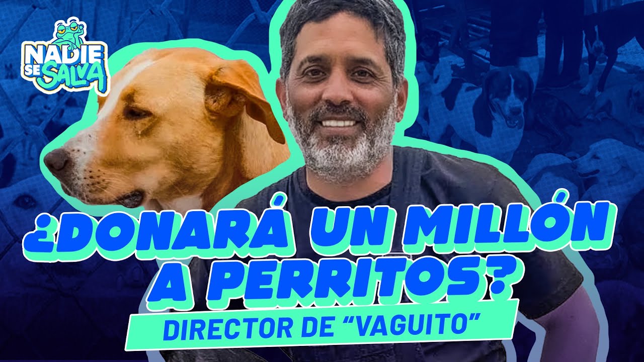¿DONARA-UN-MILLON-A-PERRITOS-NADIESESALVA.jpg