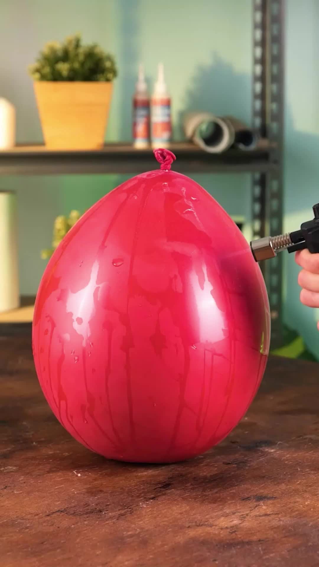 @ideasen5minutos-¡Haz-tu-propia-jardinera-suspendida-con-un-globo-decor.jpeg