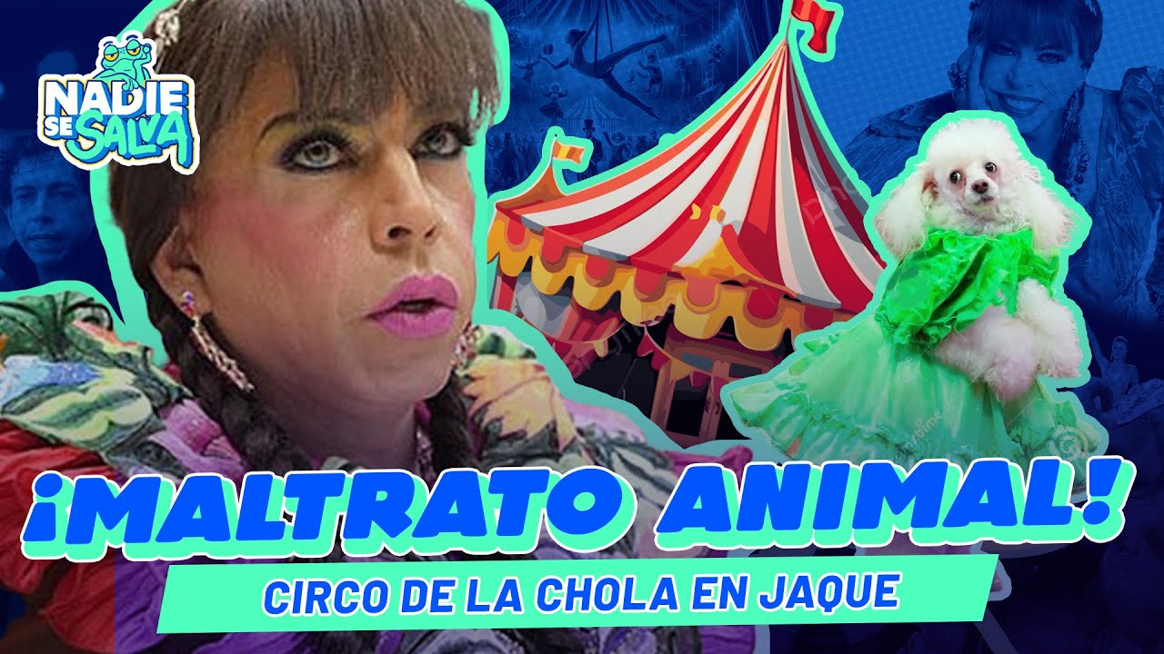 ¡INDIGNANTE-MALTRATO-A-PERRITOS-EN-CIRCO-DE-LA-CHOLA-CHABUCA.jpg