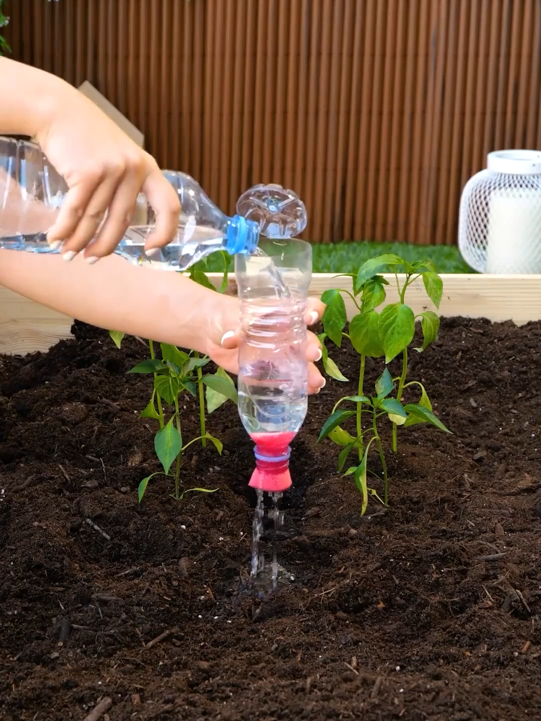 @ideasen5minutos-Trucos-de-jardineria-que-transformaran-tu-jardin-¡pruebalos.png