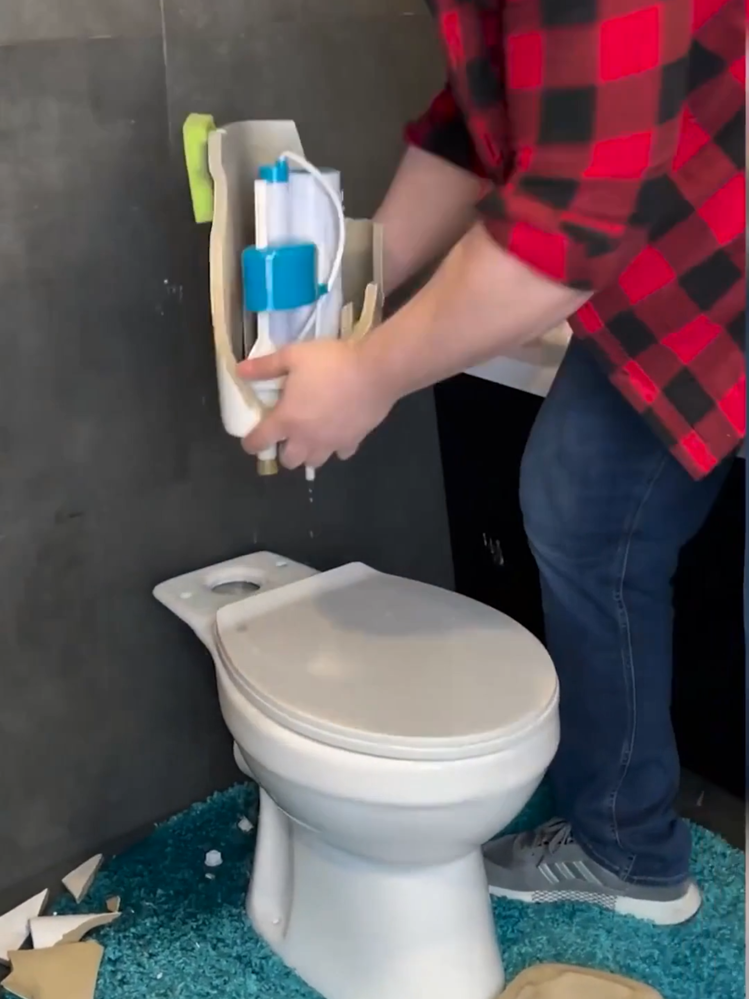 @ideasen5minutos-¡Convierte-tu-inodoro-en-un-acuario-para-peces-felices.png
