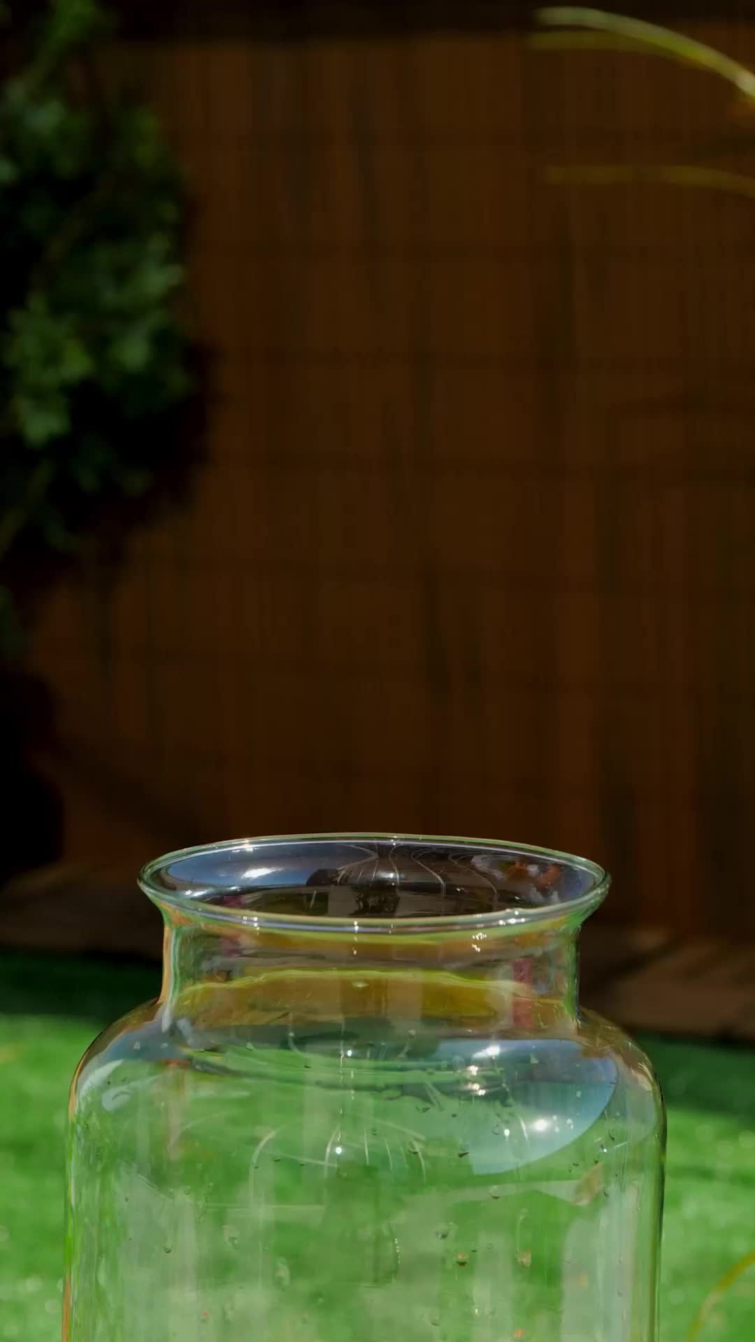 @ideasen5minutos-¡Prueba-estos-trucos-inusuales-para-tener-un-jardin-vibrante.jpeg