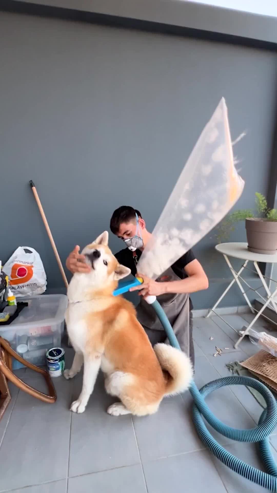 1728051905_@ideasen5minutos-¡Magia-canina-Reciclando-con-el-pelo-de-mi-perro.jpeg