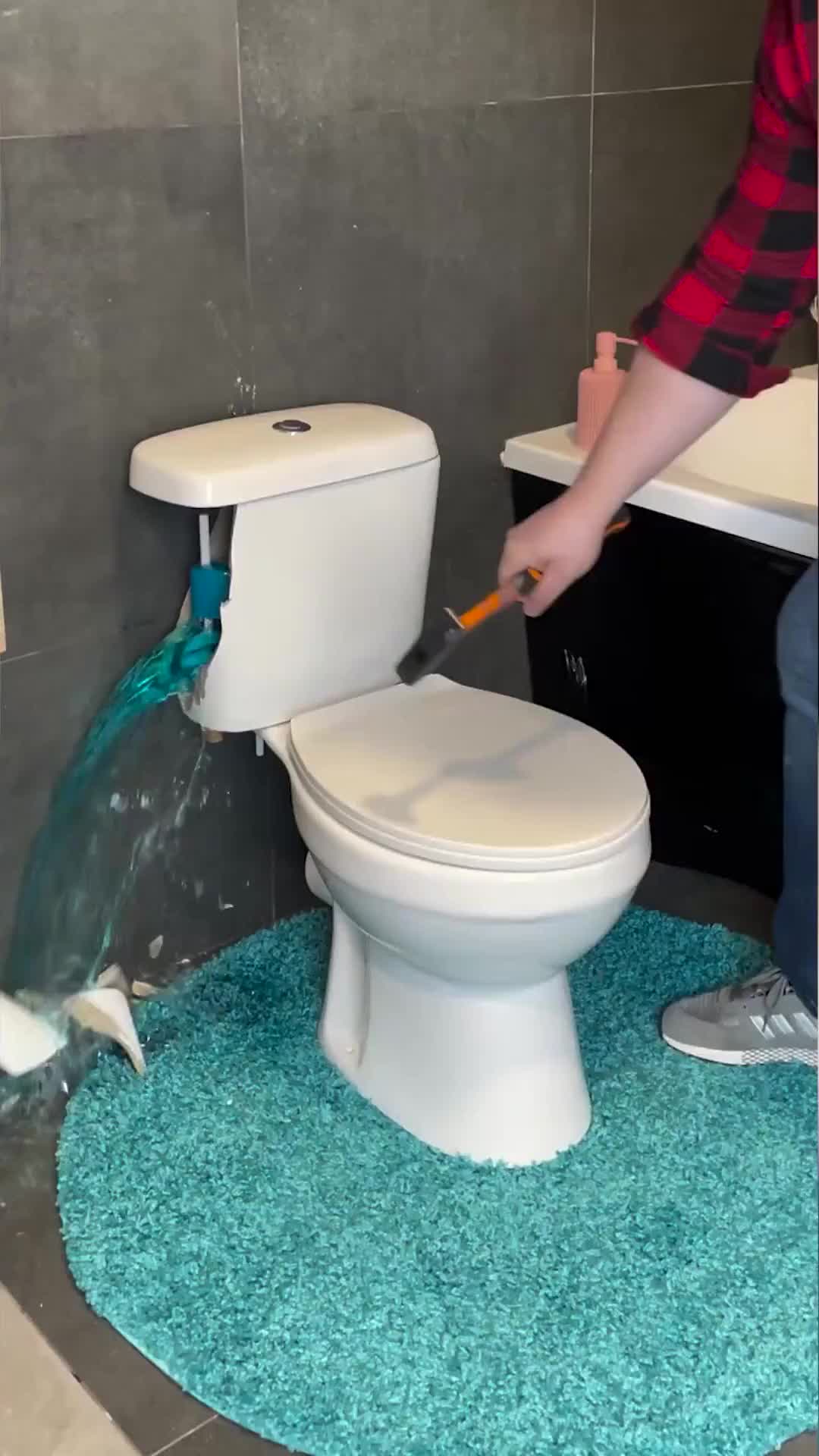 @ideasen5minutos-¡Convierte-tu-inodoro-en-un-acuario-para-peces-felices.jpeg