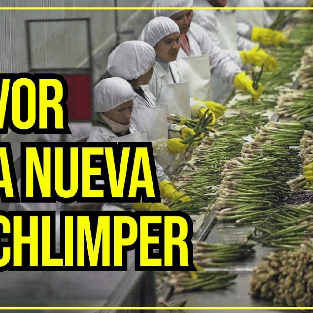La VERDAD SOBRE la Ley Chlimper y su IMPACTO en la ECONOMÍA