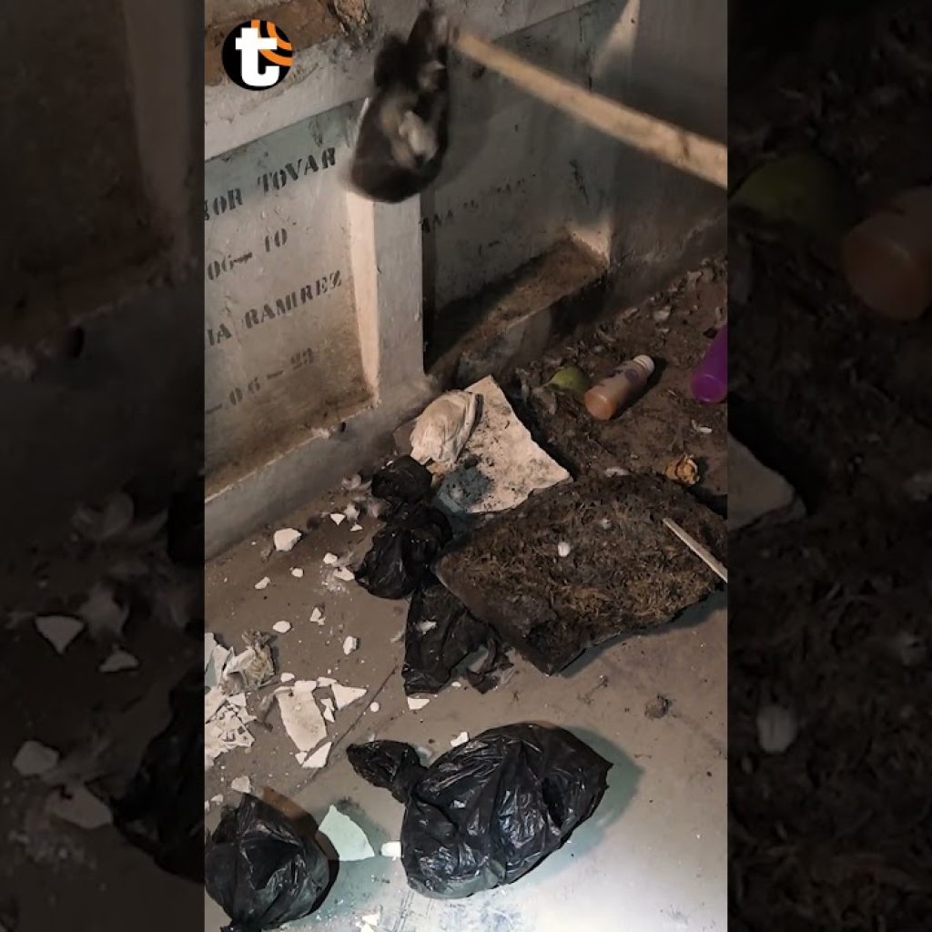 ¡HALLOWEEN EN EL BAQUÍJANO! 💀👻🎃 HOY JUEVES 8PM | #trome #halloween #cementerio