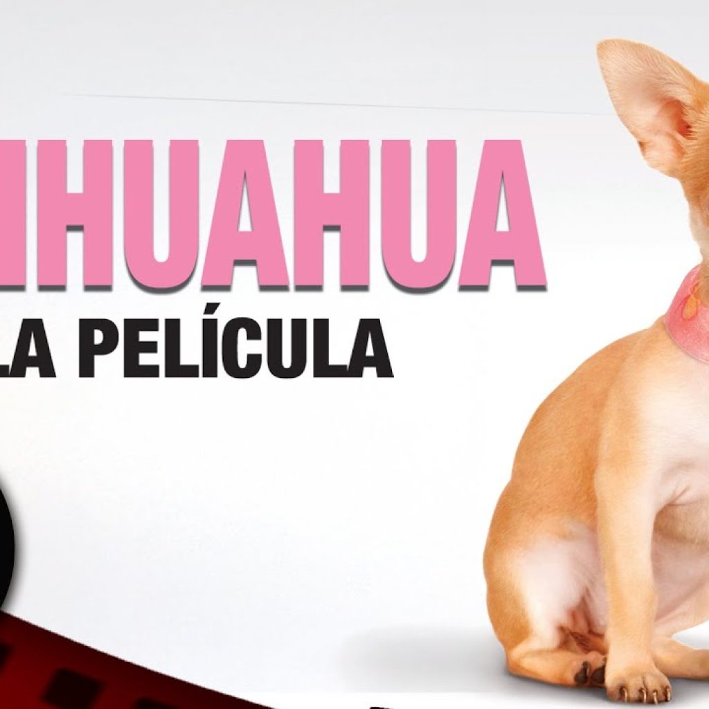 PELÍCULA COMPLETA EN ESPAÑOL 🎬 Chihuahua: La Película | Comedia / Fantasía | Cine Club Películas