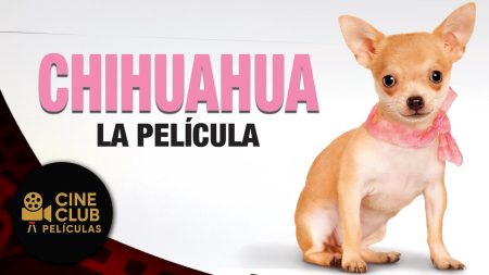 PELÍCULA COMPLETA EN ESPAÑOL 🎬 Chihuahua: La Película | Comedia / Fantasía | Cine Club Películas