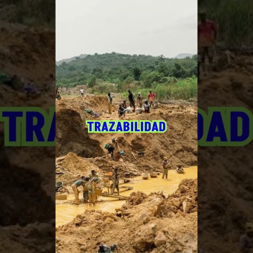 ¿El BCR debe comprar oro a mineros informales ?#mineriaperu #mineria #politicaperu #noticiasperu