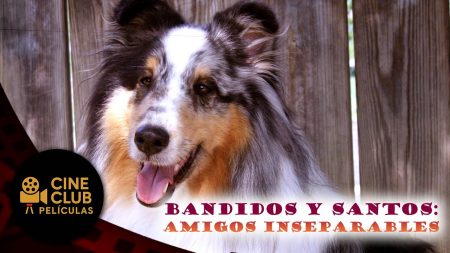 PELÍCULA COMPLETA 🎬 Bandidos y Santos – Amigos Inseparables | Aventura | Cine Club Películas