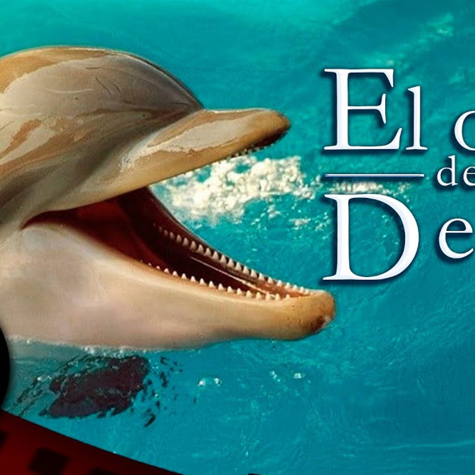 PELÍCULA COMPLETA EN ESPAÑOL 🎬 El Ojo Del Delfin | Drama Familiar (HD)