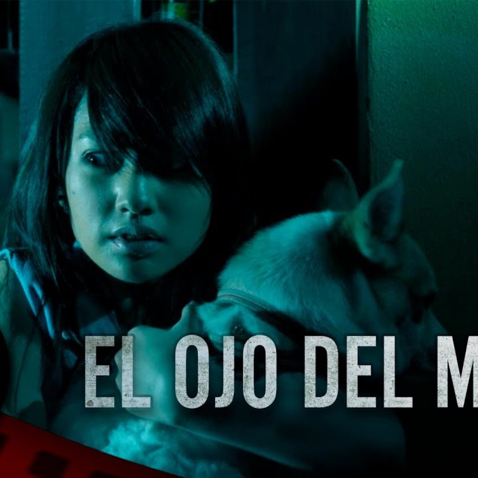 PELÍCULA COMPLETA EN ESPAÑOL 🎬 El Ojo del Miedo | Terror | Cine Club Películas