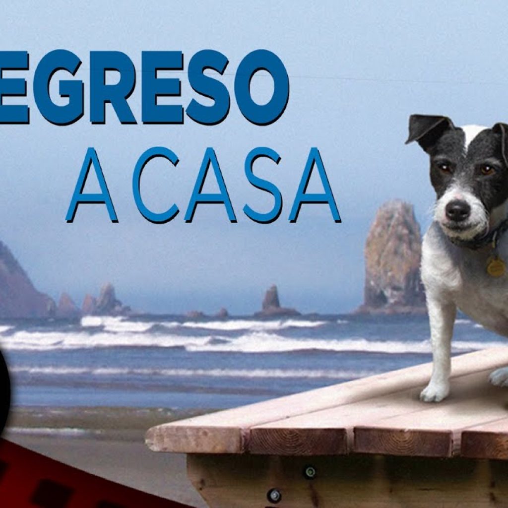 PELÍCULA COMPLETA EN ESPAÑOL 🎬 Regreso a Casa | Familia / Aventura | Cine Club Películas