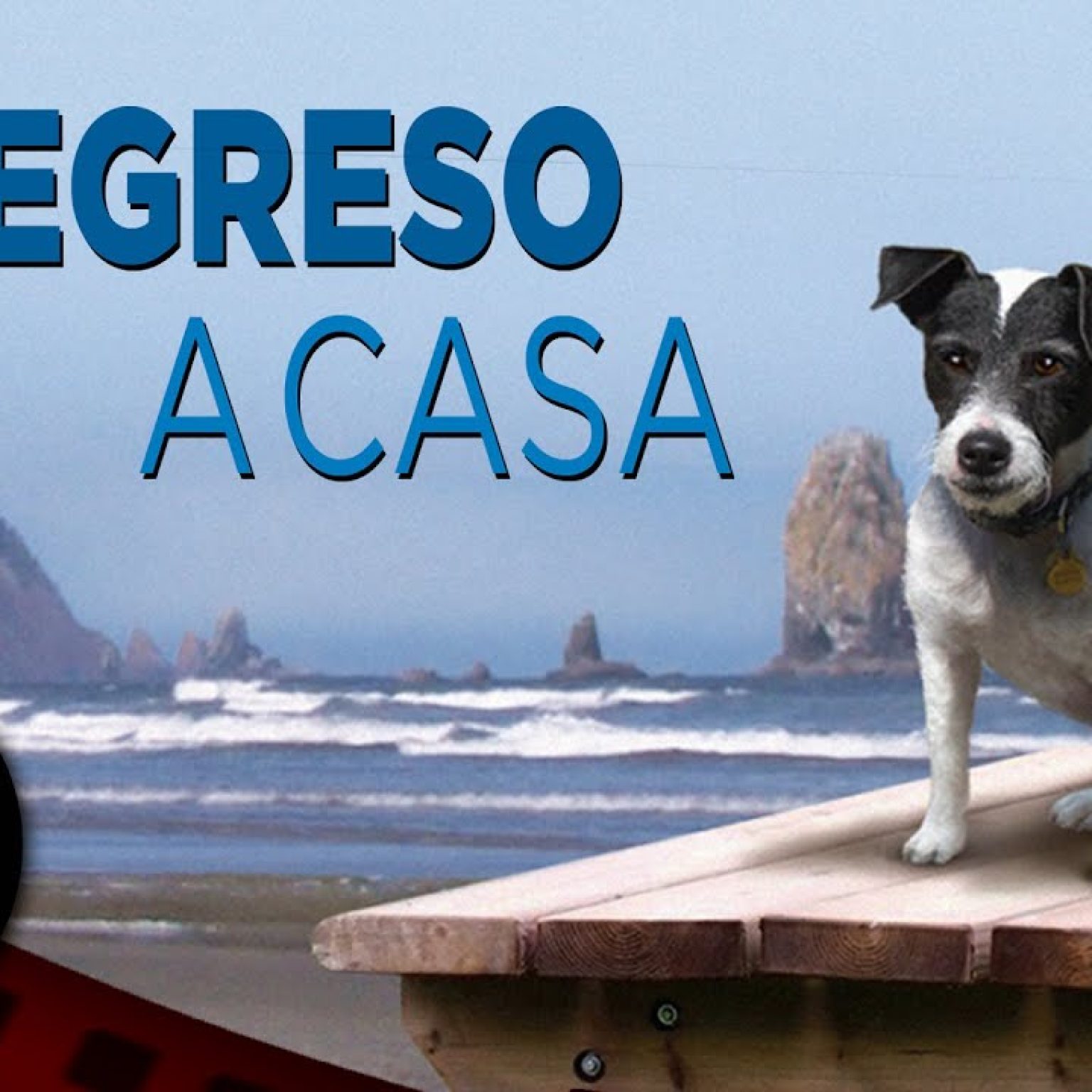 PELÍCULA COMPLETA EN ESPAÑOL 🎬 Regreso a Casa | Familia / Aventura | Cine Club Películas