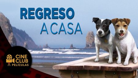 PELÍCULA COMPLETA EN ESPAÑOL 🎬 Regreso a Casa | Familia / Aventura | Cine Club Películas