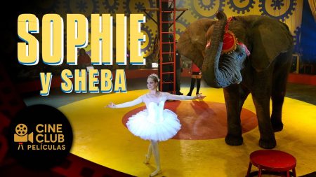 PELÍCULA COMPLETA EN ESPAÑOL 🎬 Sophie y Sheba | Drama / Familia | Cine Club Películas