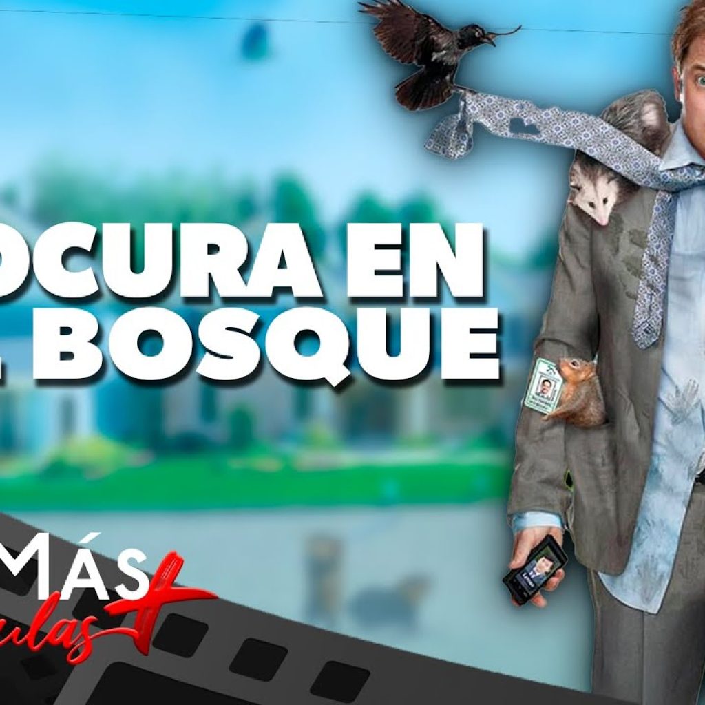 Locura en el Bosque ▫️ PELÍCULA DE COMEDIA ▫️ CineMás