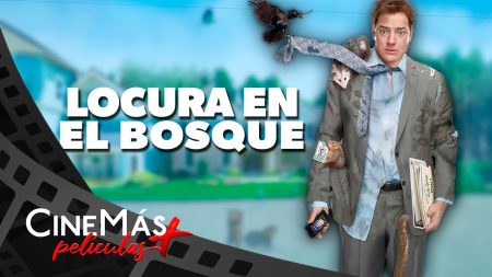 Locura en el Bosque ▫️ PELÍCULA DE COMEDIA ▫️ CineMás