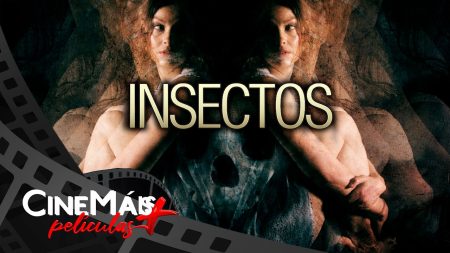 Insectos ▫️ PELÍCULA DE TERROR PSICOLÓGICO ▫️ CineMais Películas en Español
