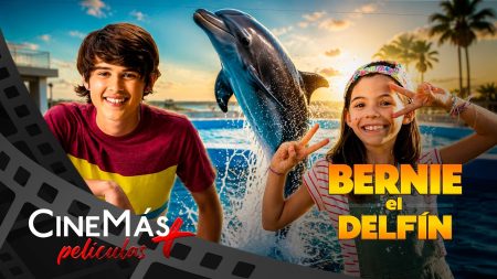 Bernie el Delfín ▫️ PELÍCULA DE FAMILIA▫️ CineMás Películas